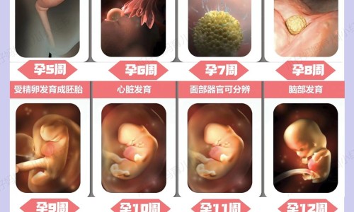 月经期排血块是好事还是坏事、月经排血有好处 -经期排血多好还是不好网